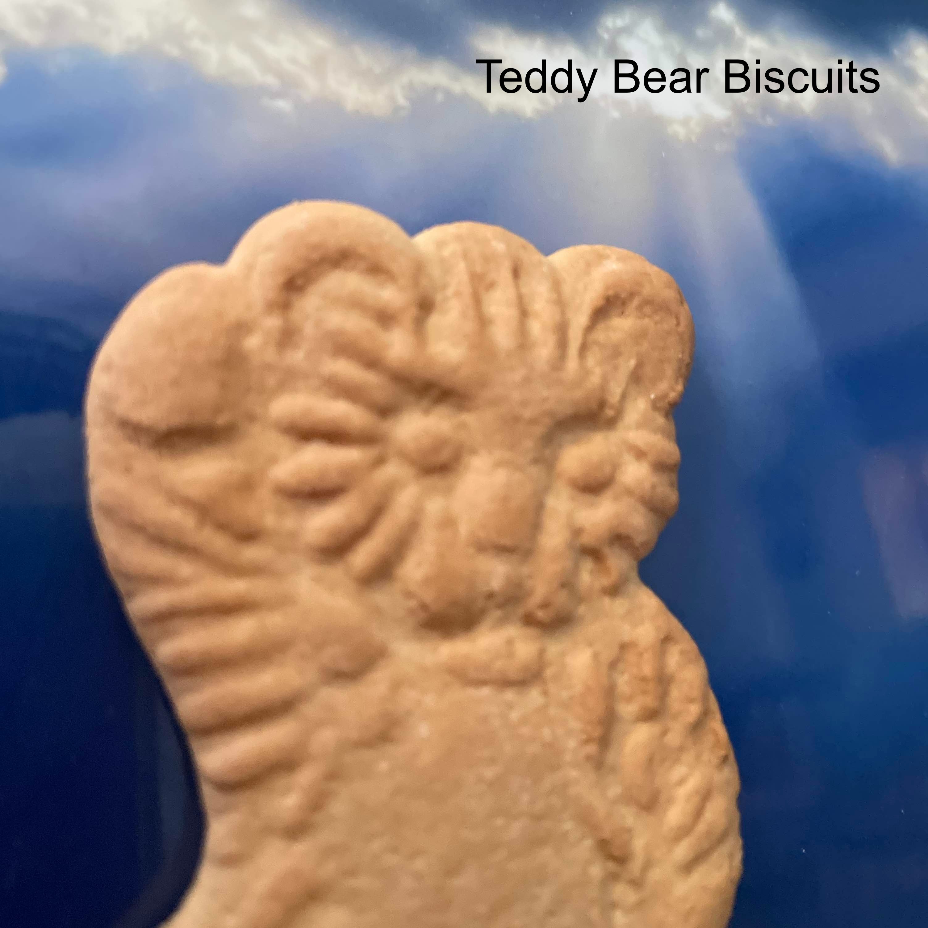 Teddy Bear Biscuits