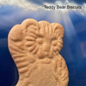 Teddy Bear Biscuits