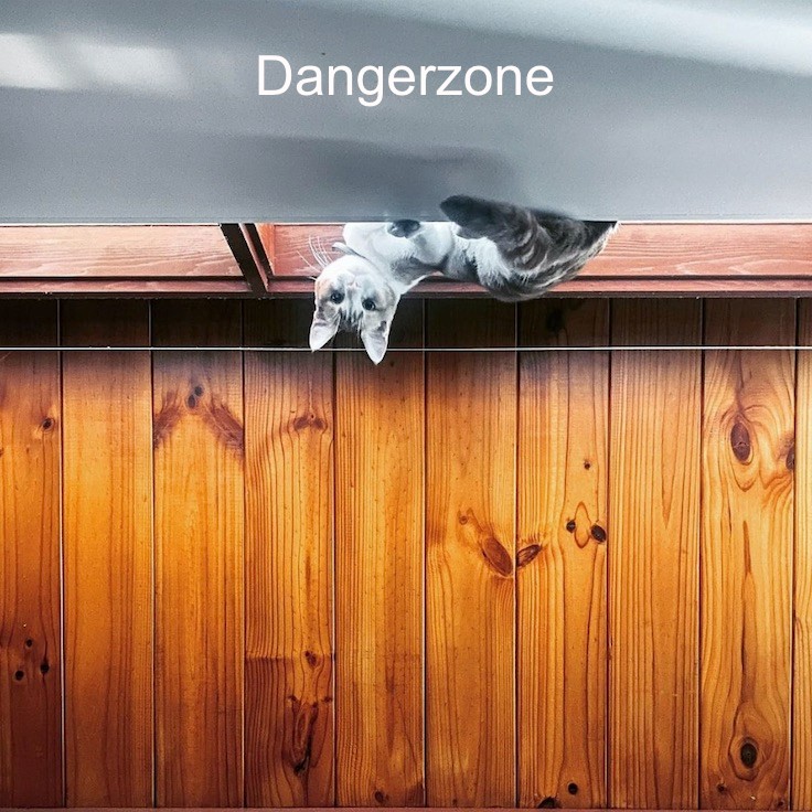 Dangerzone