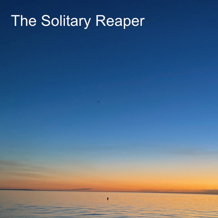 The Solitary Reaper