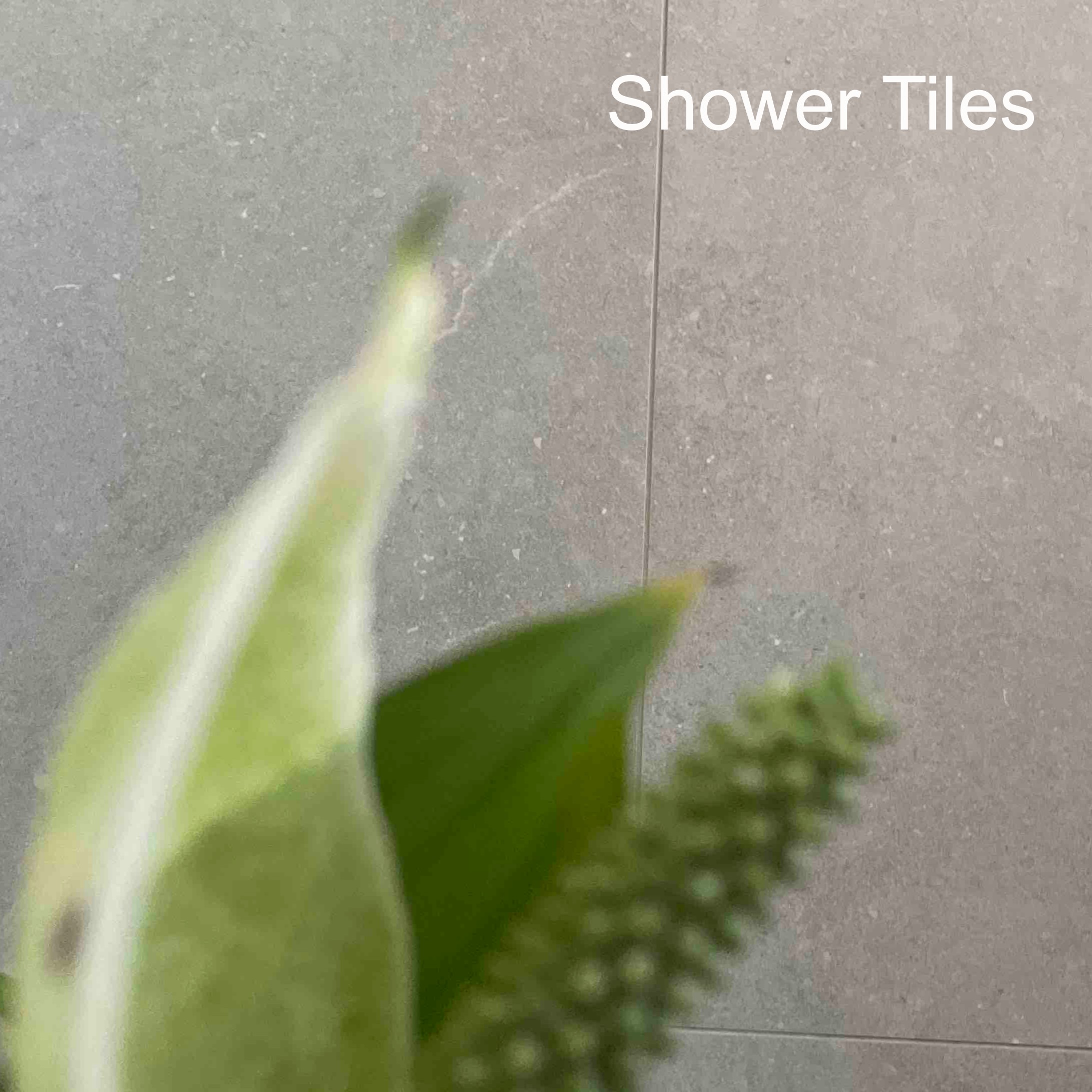 Shower Tiles