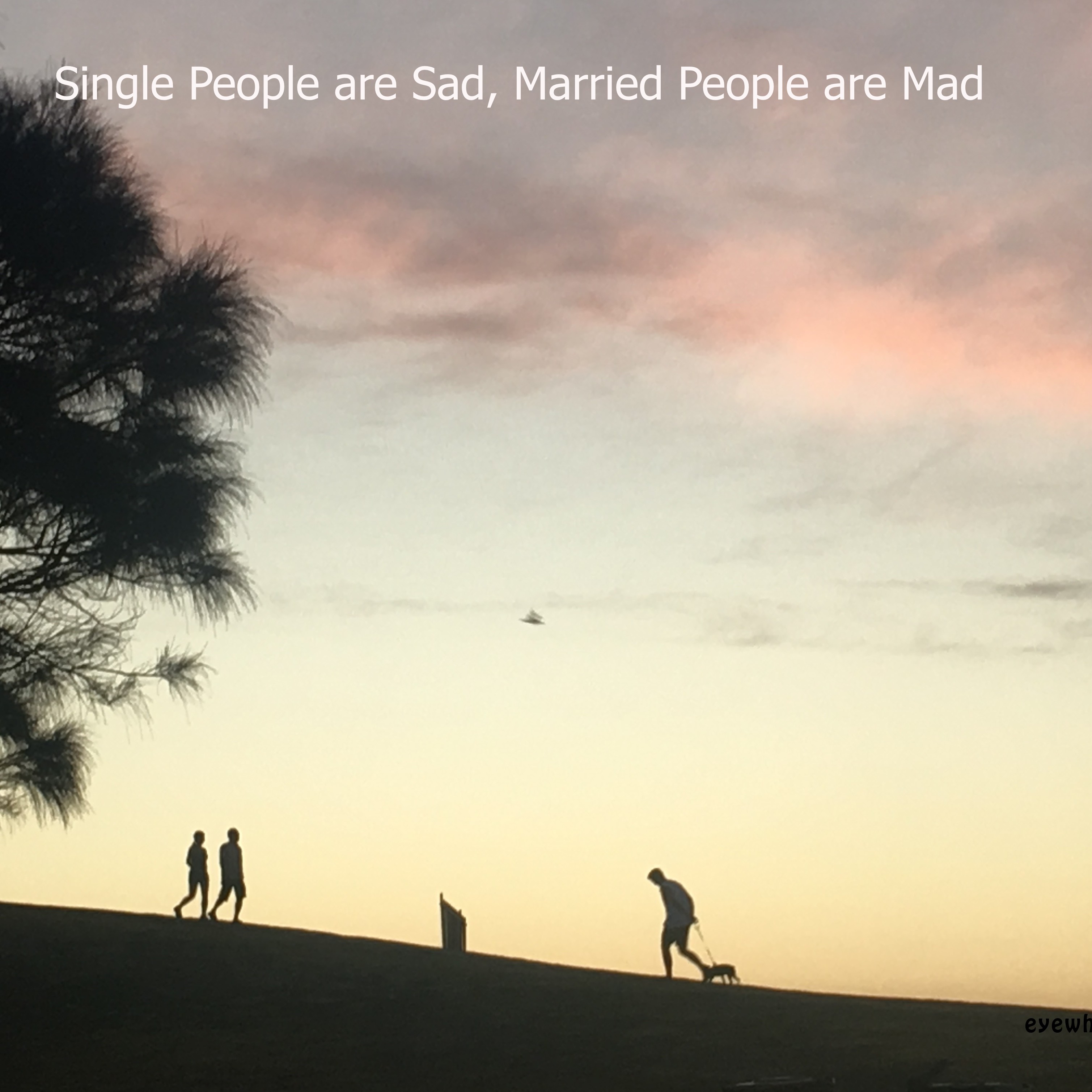 Single People are Sad, Married People are Mad