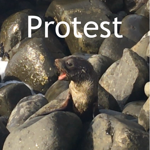 Protest