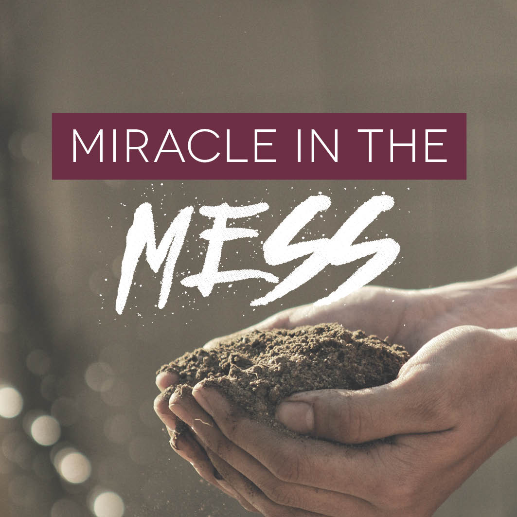 Miracle in the Mess - Craig Jourdain