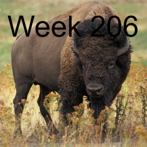 Week 206 pros and cons of rewilding