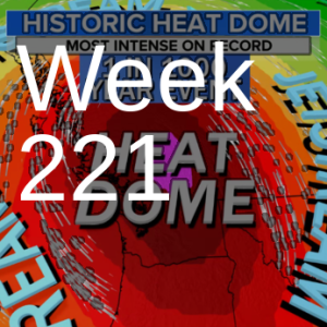 Week 221 clear cuts increase climate problems