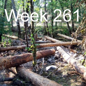 Week 261 Basics of the restoration process