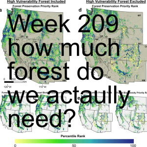 Week 209 how much forest do we actaully need?