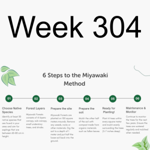 Week 304 urban forests and the Miyawaki Method