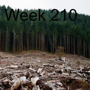 Week 210was the forest accord worth it?