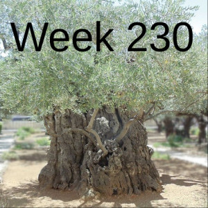 Week 230 regreening of israel