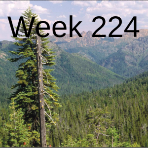 Week 224 changes in the SW Oregon forests due to the climate