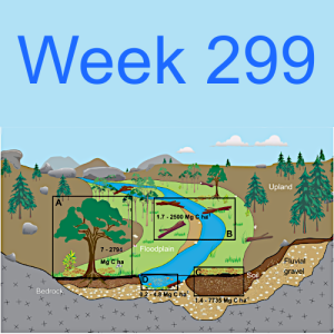 Week 299 carbon stored out of sight