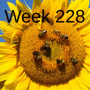 week 228 restore the pollinators. you can help.