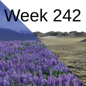 Week 242 from paradise to desert in a few hundred years