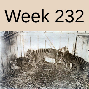 Week 232 de-extinction. should we?