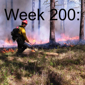 Week 200: Forest Fire Debates During Rainy Season