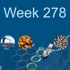 Week 278 aquaculture and its impact on the wild