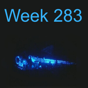 Week 283 an unlikely hero - the amazing lantern fish