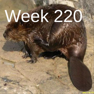 Week 220 Do not wait. Restore beaver now II.