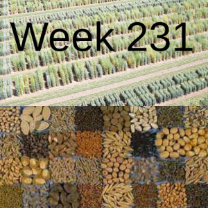 Week 231 Restoring Plant Biodiversity