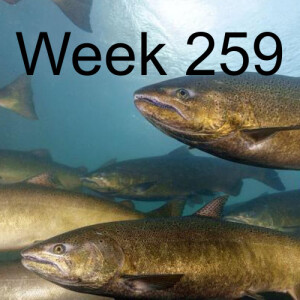 Week 259 chinook salmon ESA listing petition update
