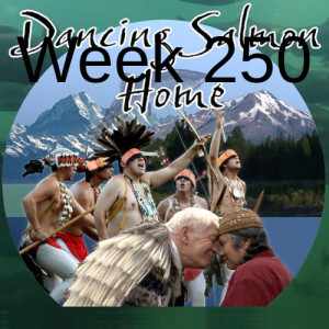 Week 250 dancing salmon home