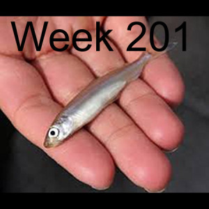 Week 201 when State and Federal agencies fail