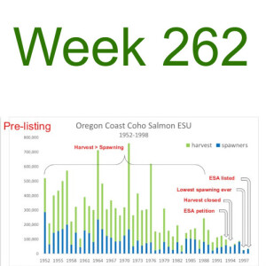 Week 262 south umpqua restoration - an example