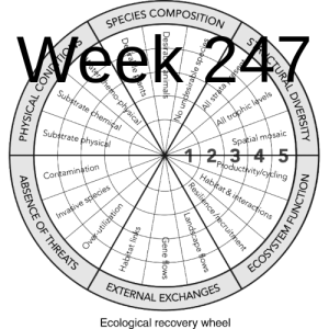 Week 247 universal ecological recovery principles