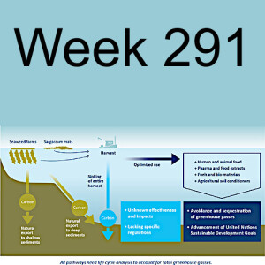 Week 291 carbon storage on land and in sea