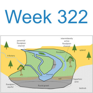 Week 322 restoring floodplain connectivity