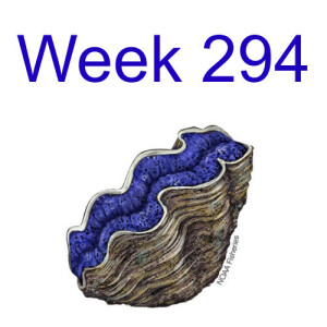 Week 294 restorating giant clams by exploitation of the species