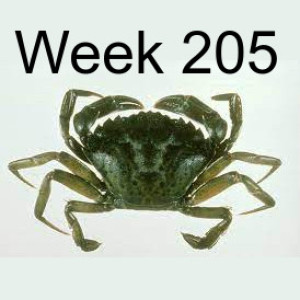 Week 205 The Invasion of the European Green Crab