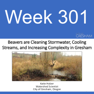 Week 301 the beavers of Gresham