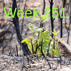 Week 251 restoring wildland firescapes