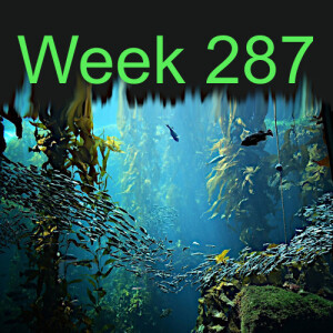 Week 287 restoring kelp forests