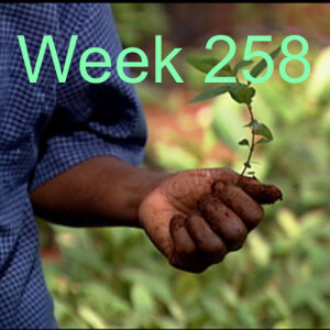 Week 258 world class forest restoration projects