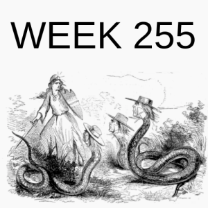 Week 255 limiting factor of restoration