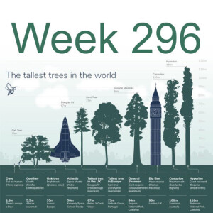 Week 296 the tallest and oldest can save you