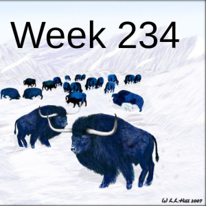 Week 234 rewilding iceland