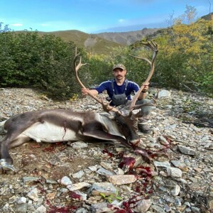 Episode 296 - Caribou hunting and cabin building