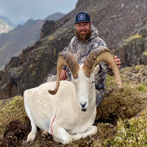 Episode 230 - Dall Sheep, moose camp and blue-collar outdoor content