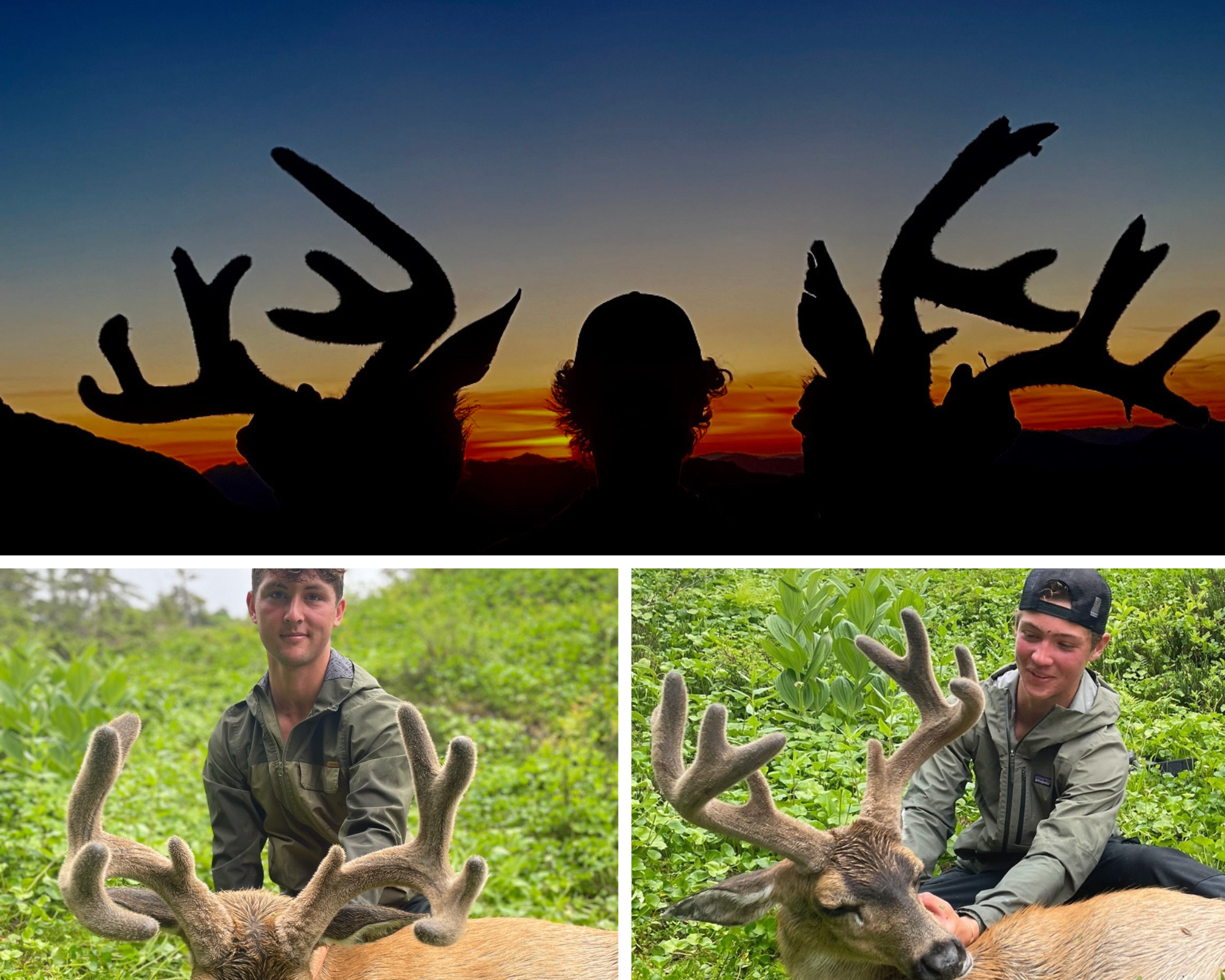 Episode 353 - Blacktail deer with the Linne brothers - podcast episode cover