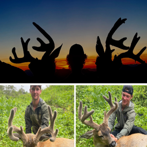Episode 353 - Blacktail deer with the Linne brothers