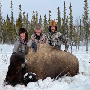 Episode 258 - Best of 2021 - Alaska Bison