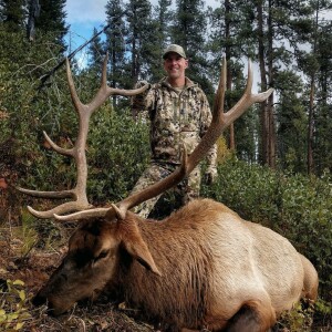 Episode 217 - Elk, education and travel with Corey Jacobsen