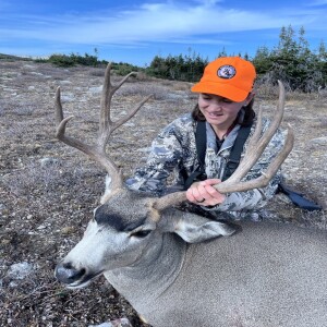 Episode 241 - Wyoming elk and mule deer recap