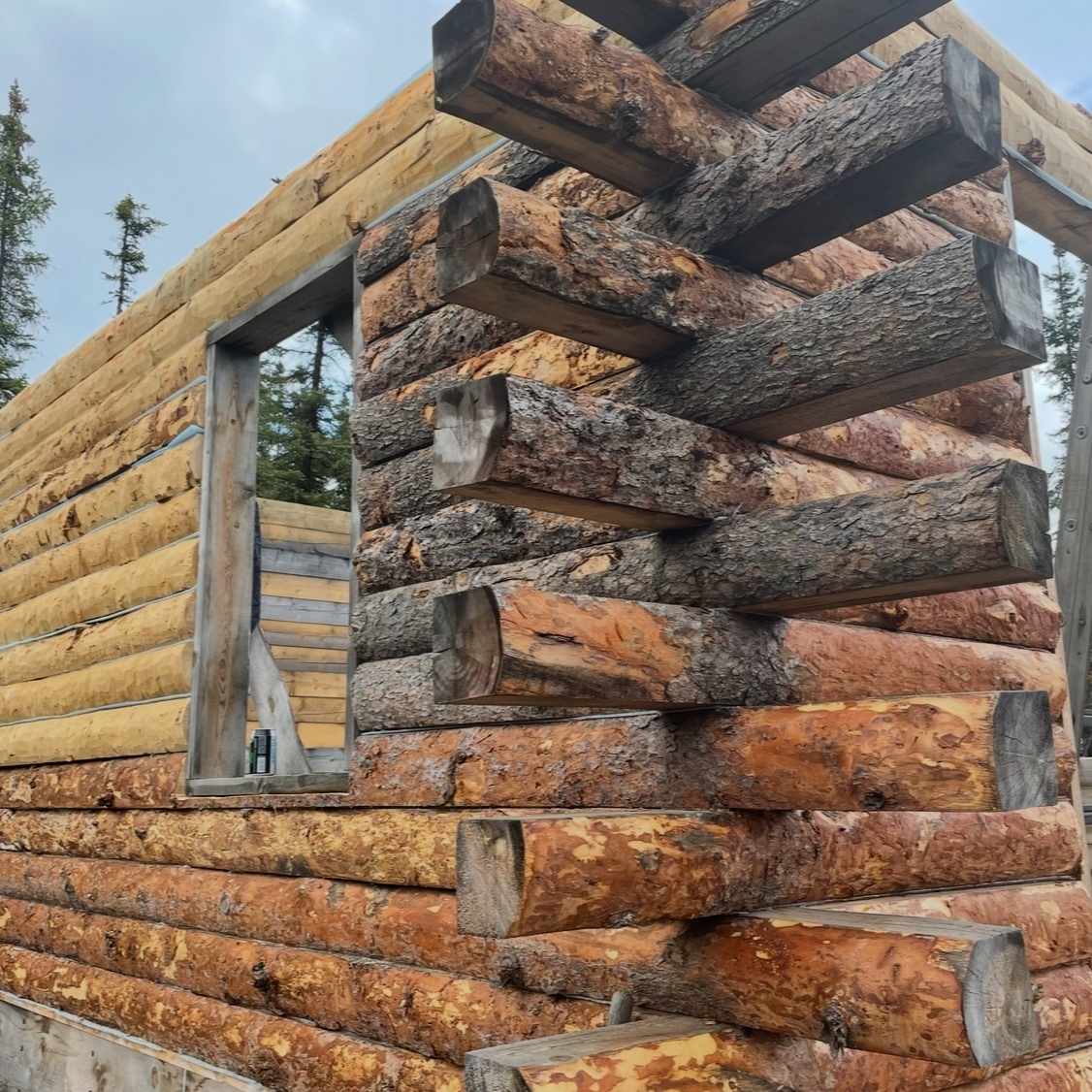 Episode 457 - Dry cabins, public land and parenting