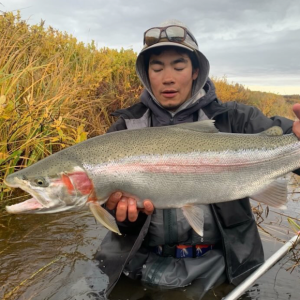 Episode 400 - Salmon, bears and Bristol Bay